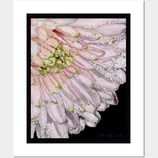 Dahlia in Pink Posters and Art